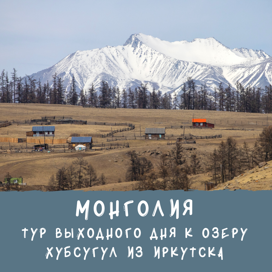 тур в монголию